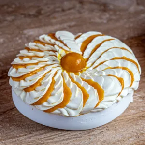 Pavlova exptique